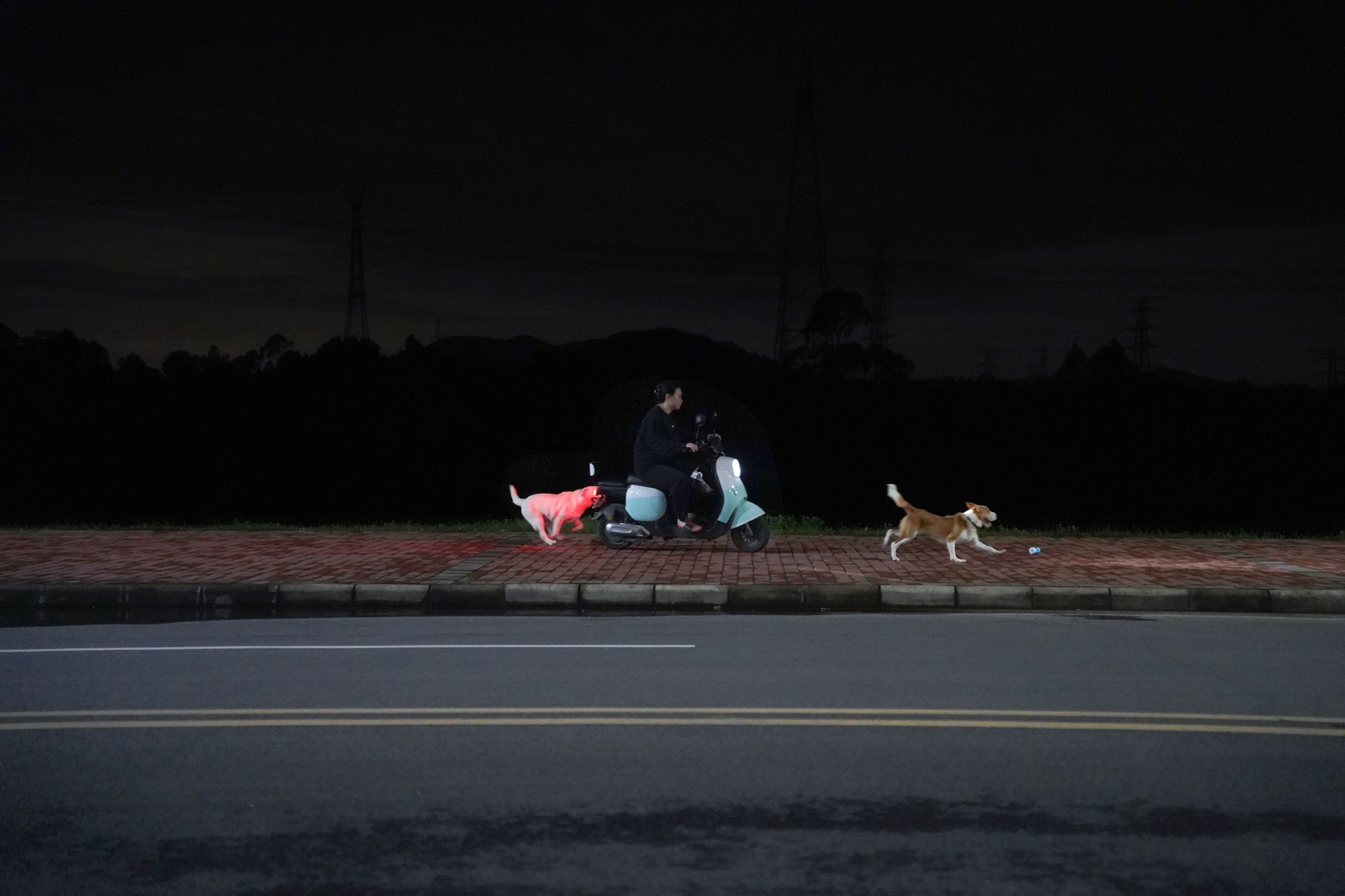 Night in the Suburbs, image 14