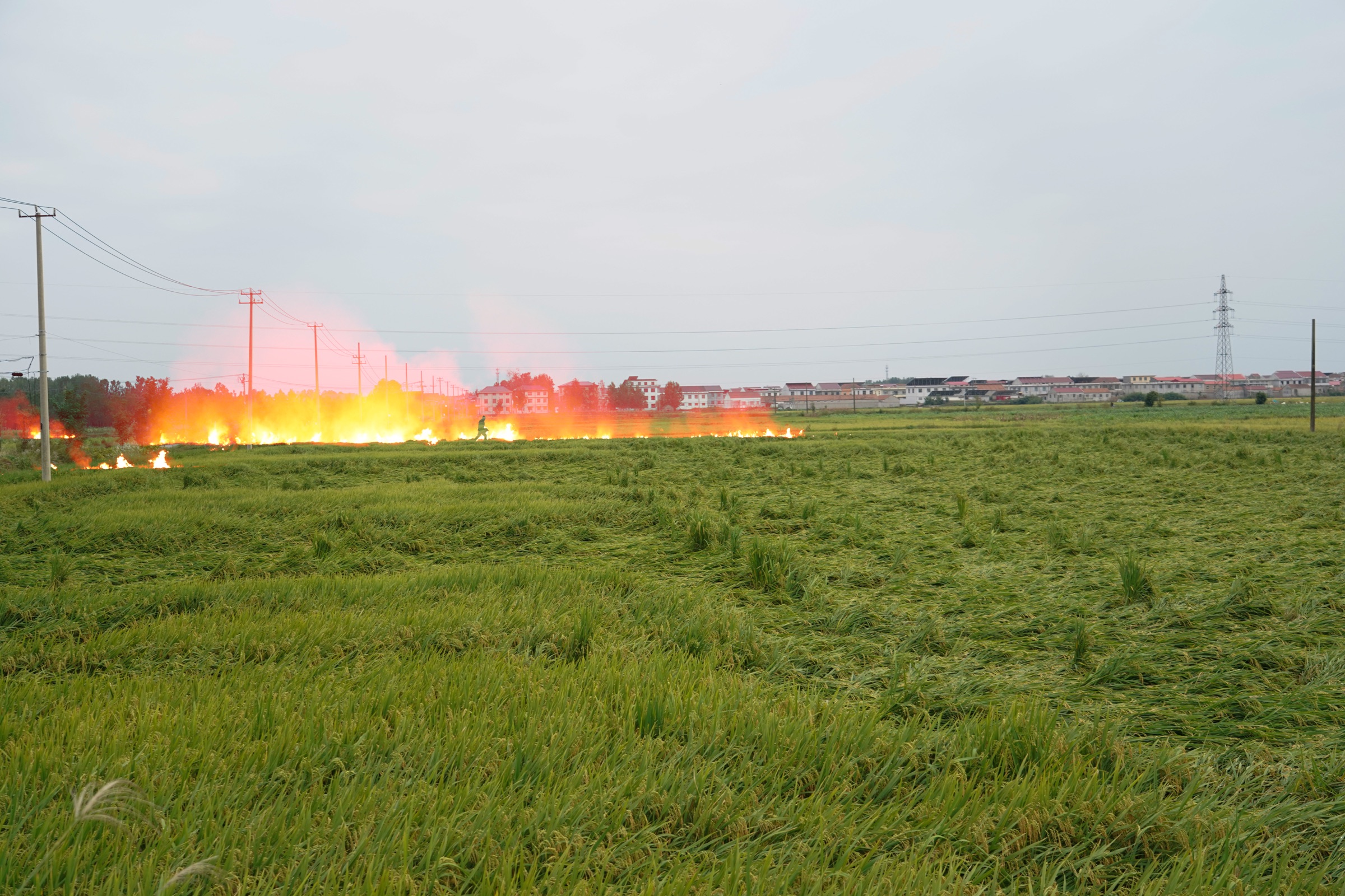 The Burning Prairie, image 7