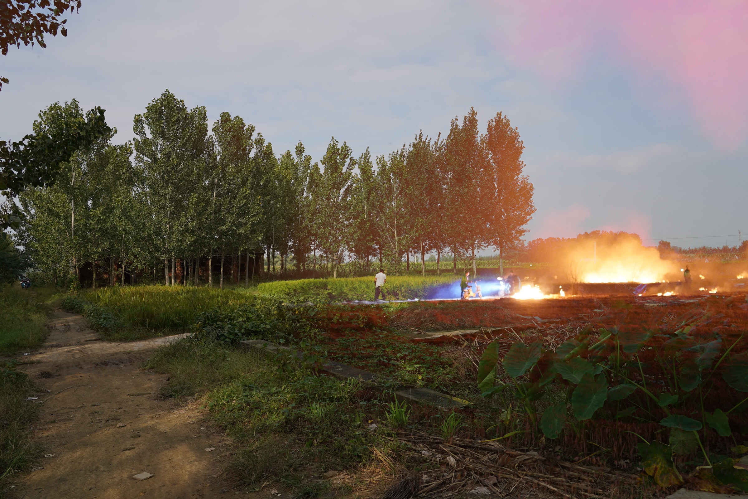 The Burning Prairie, image 10