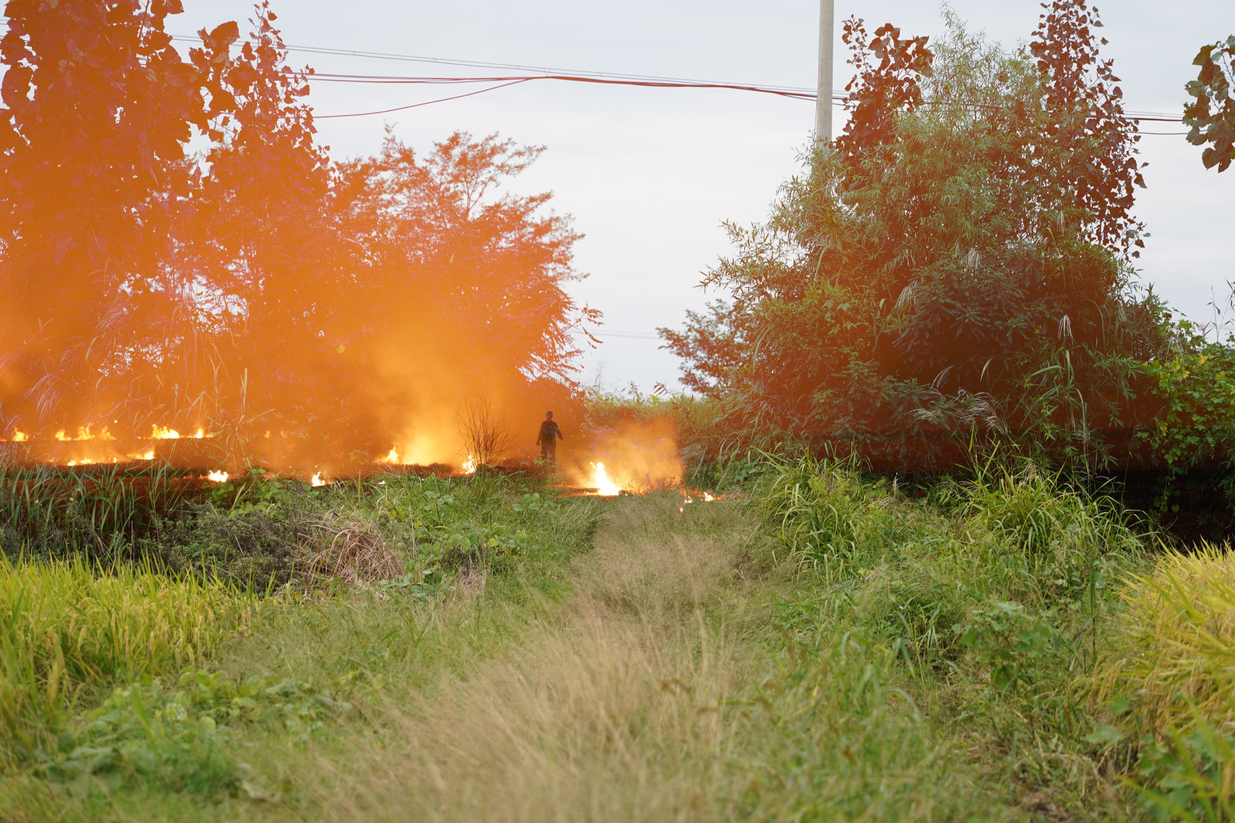 The Burning Prairie, image 8