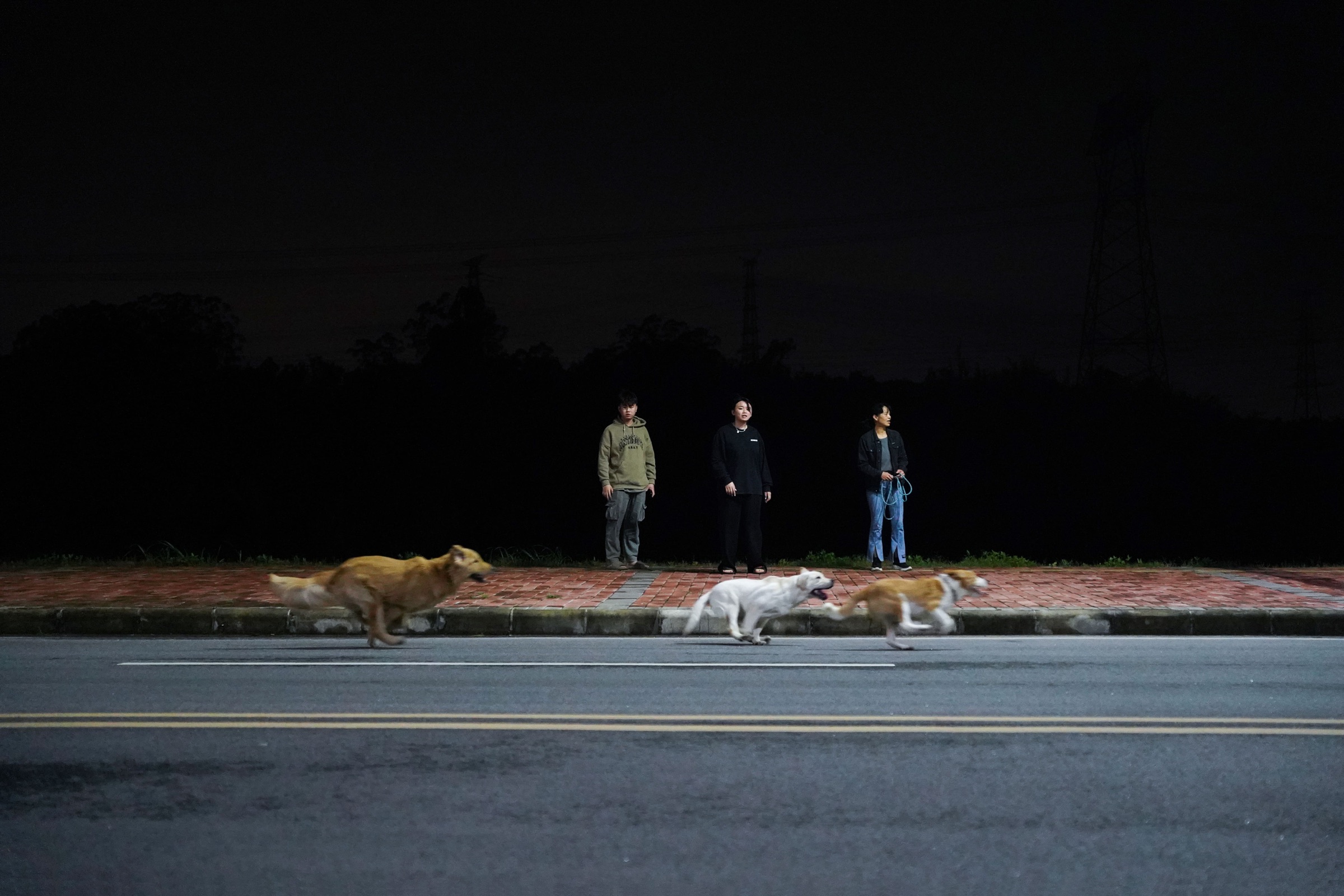 Night in the Suburbs, image 2