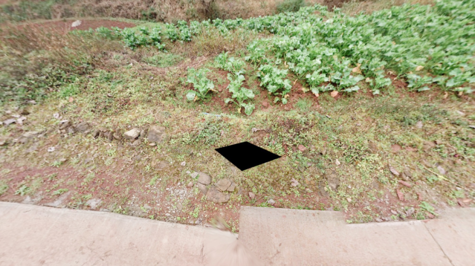 The Hollow of Google Street View — Algorithmic void, 25