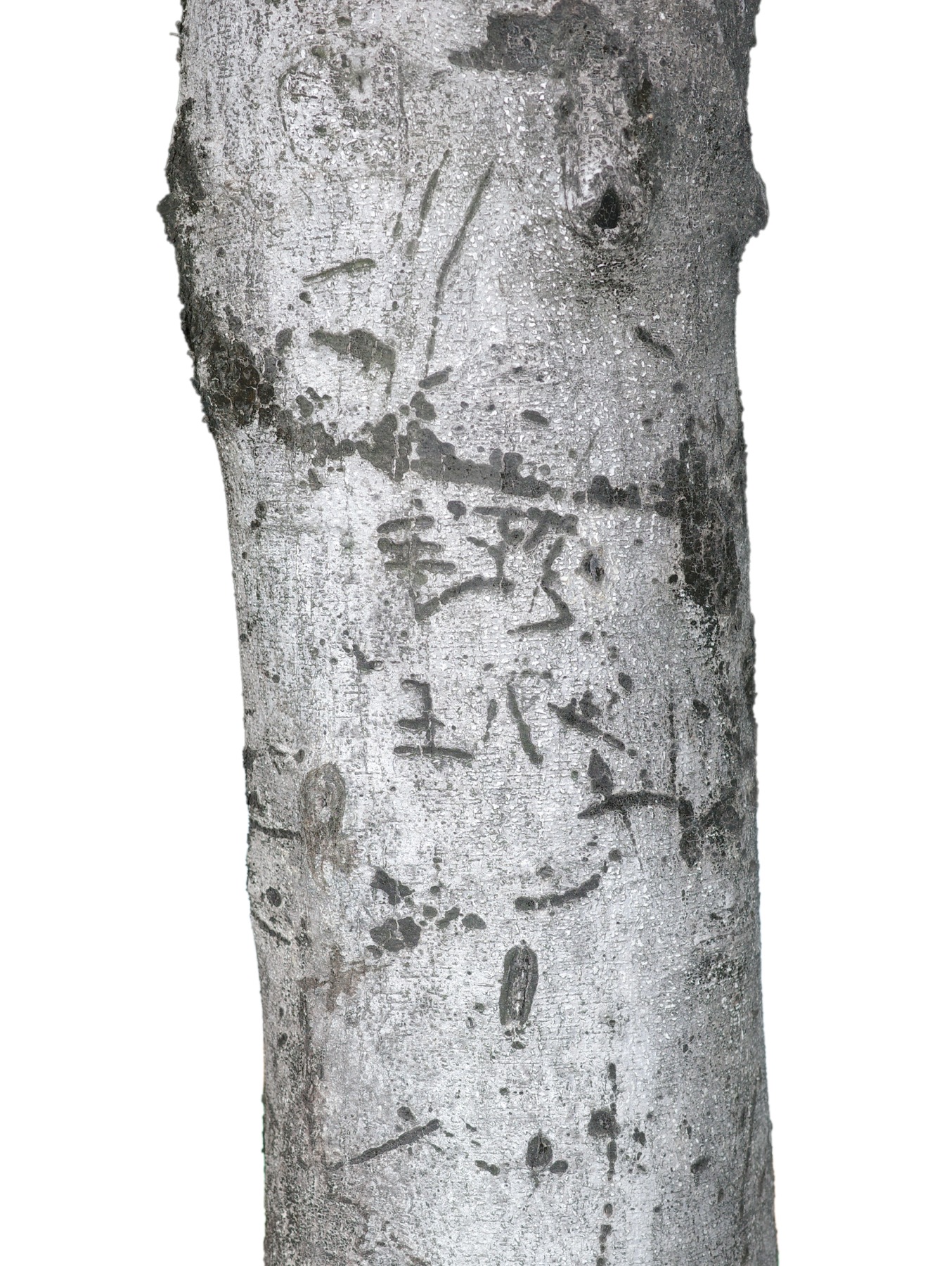 Writing in an Abandoned Factory District — Yan Jiacheng (闫家成), view image 3