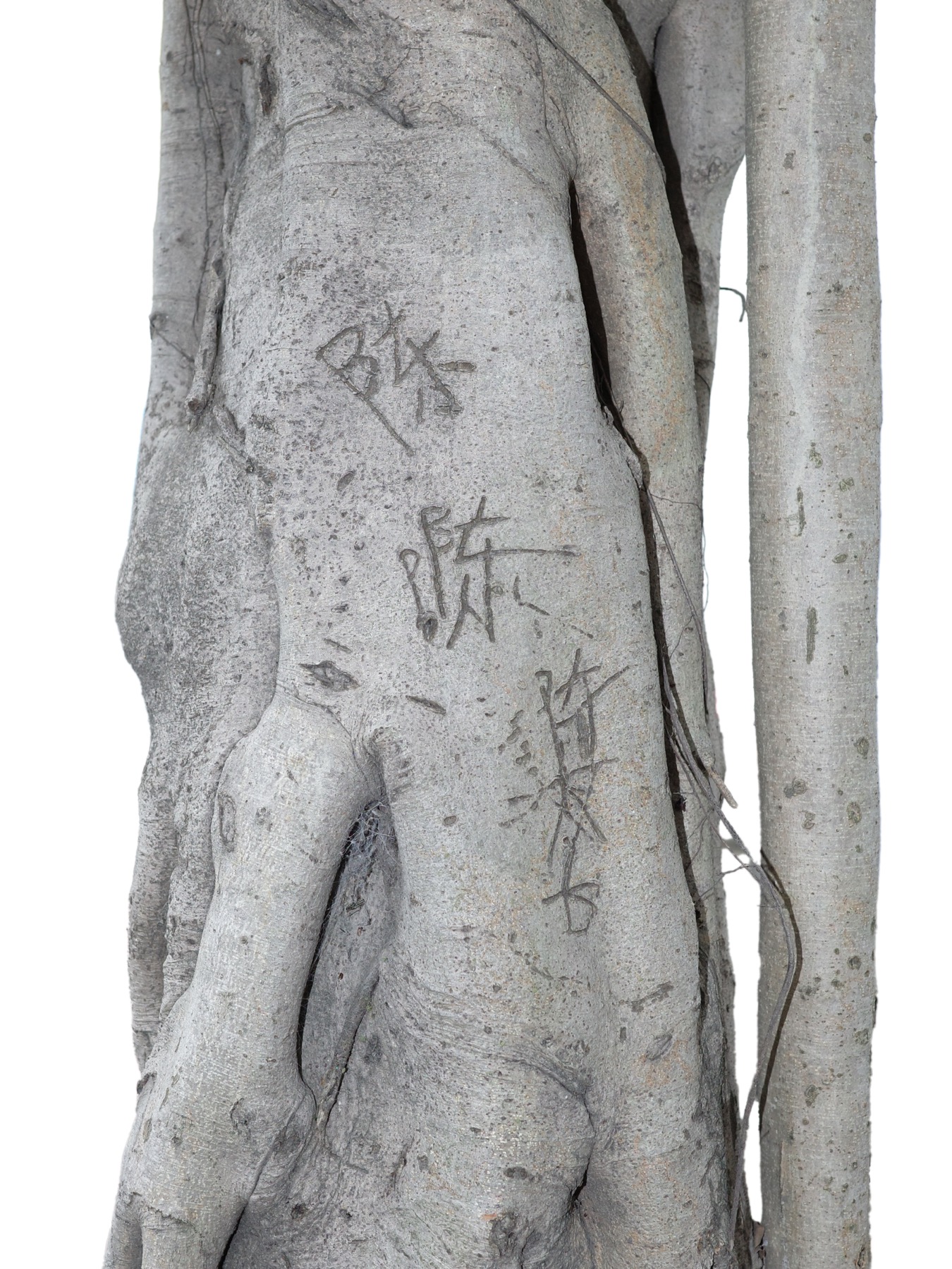 Writing in an Abandoned Factory District — Yan Jiacheng (闫家成), view image 6