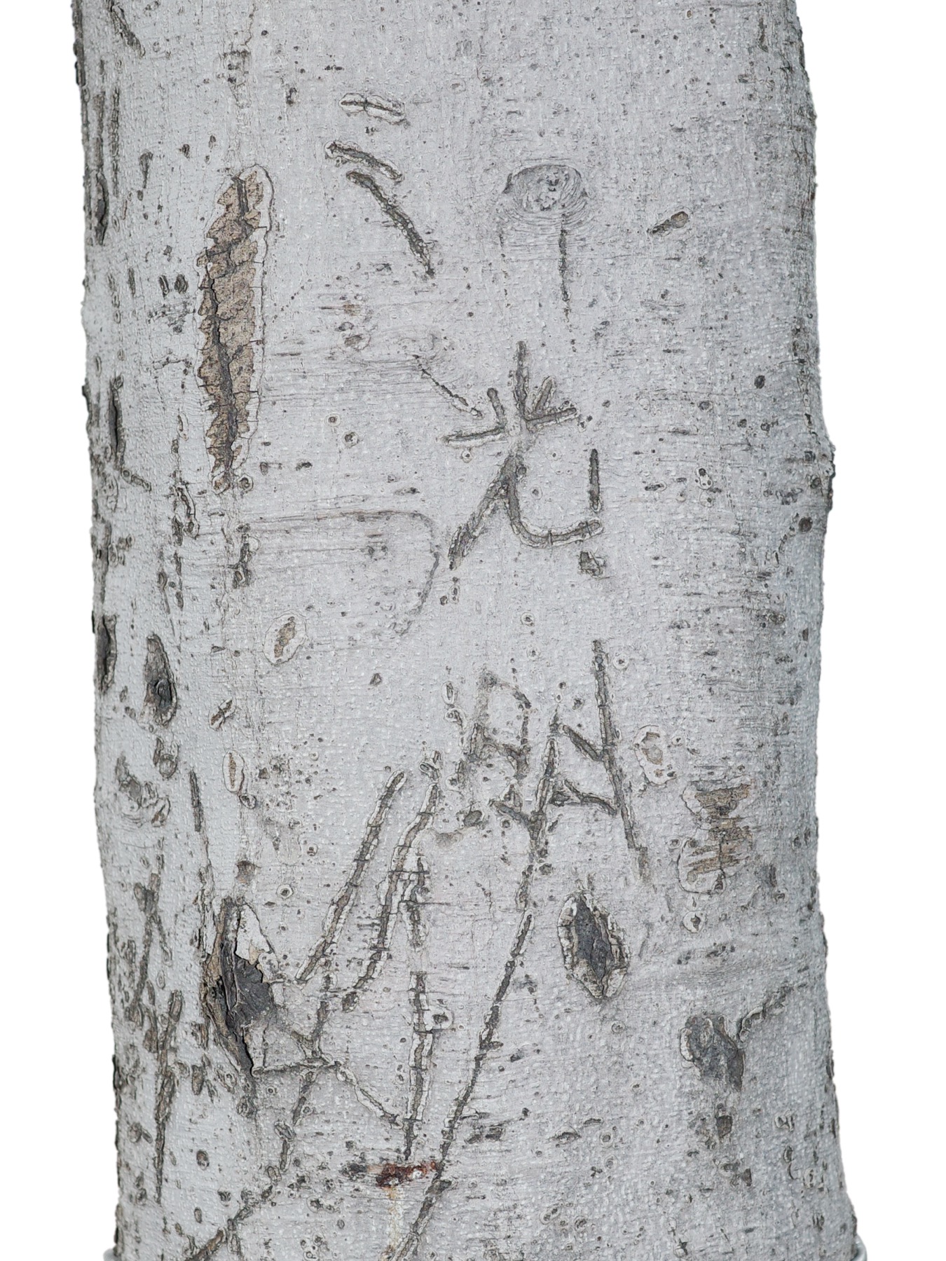 Writing in an Abandoned Factory District — Yan Jiacheng (闫家成), view image 16