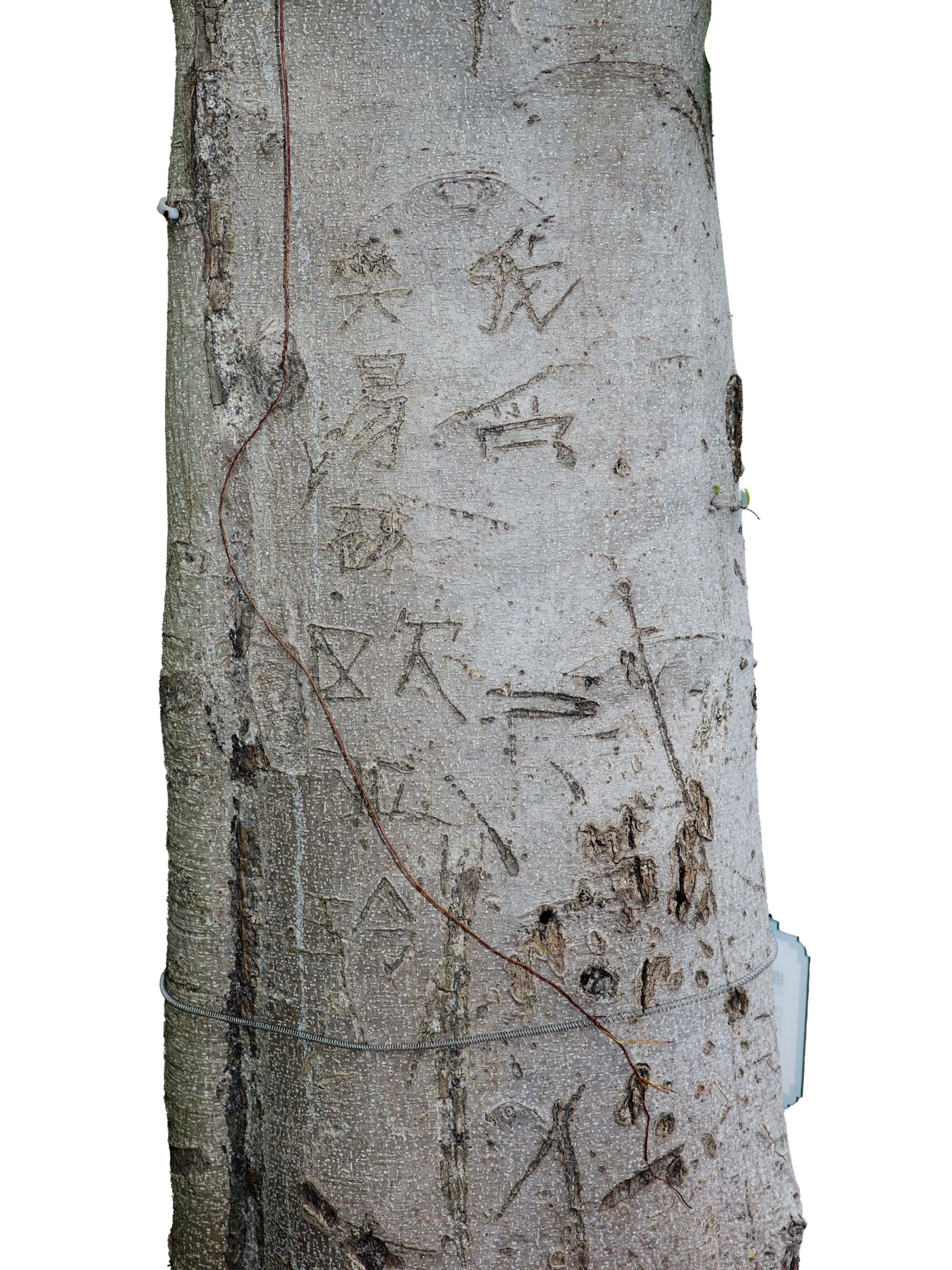 Writing in an Abandoned Factory District — Yan Jiacheng (闫家成), view image 21