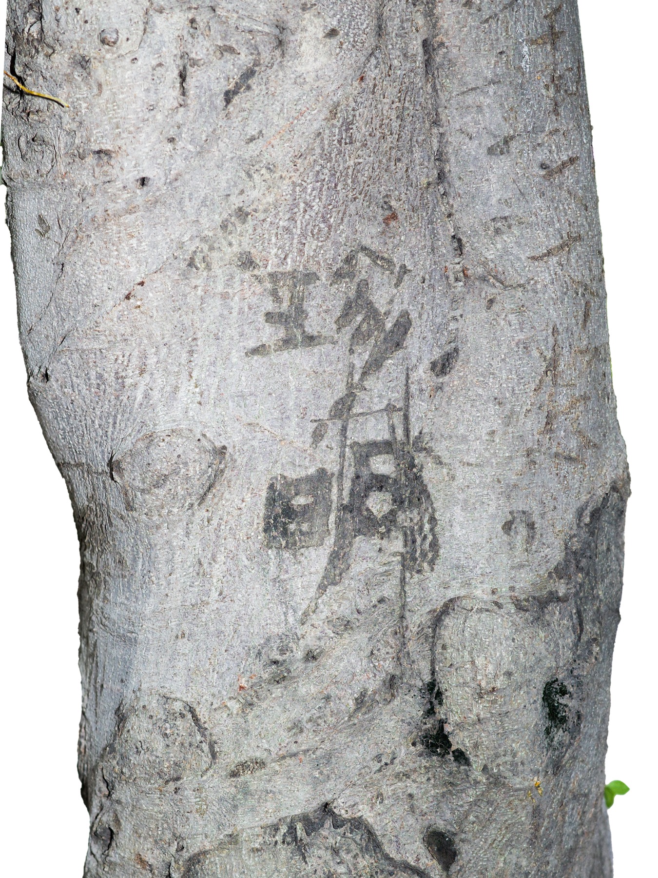Writing in an Abandoned Factory District — Yan Jiacheng (闫家成), view image 24